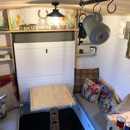 Hôtel Clydesdale Shepherds Hut à Belfast Extérieur photo