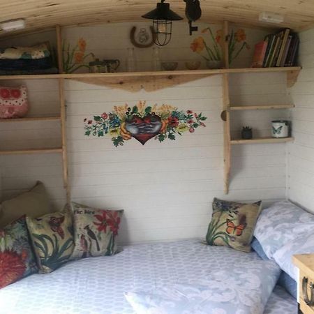 Hôtel Clydesdale Shepherds Hut à Belfast Extérieur photo
