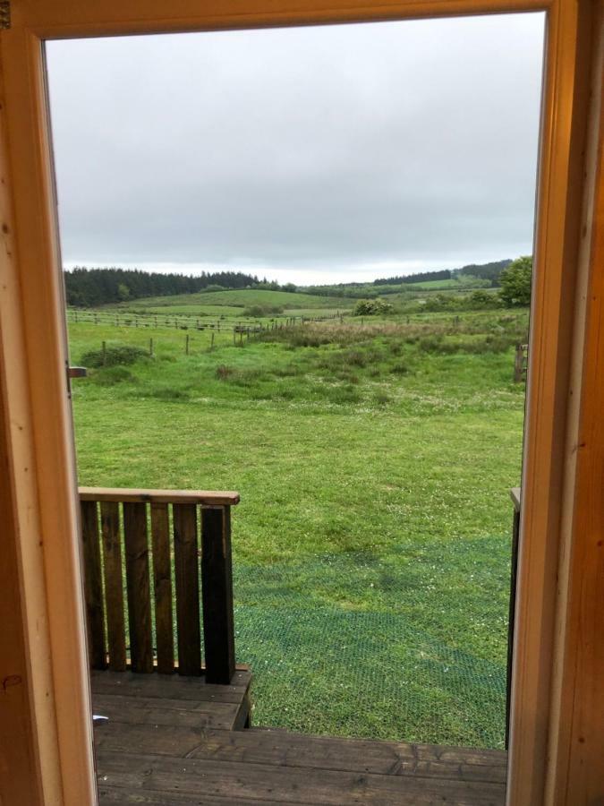 Hôtel Clydesdale Shepherds Hut à Belfast Extérieur photo