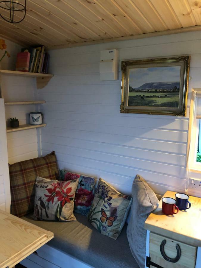 Hôtel Clydesdale Shepherds Hut à Belfast Extérieur photo