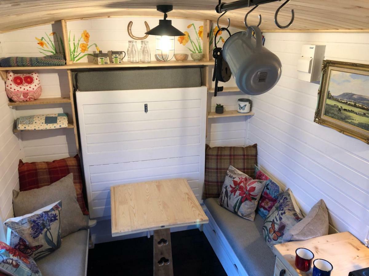 Hôtel Clydesdale Shepherds Hut à Belfast Extérieur photo